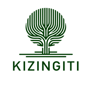 Kizingiti Capital